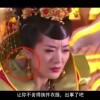 word官网下载电脑版免费版